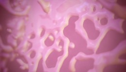 Element	3D Liquid Splash Animation